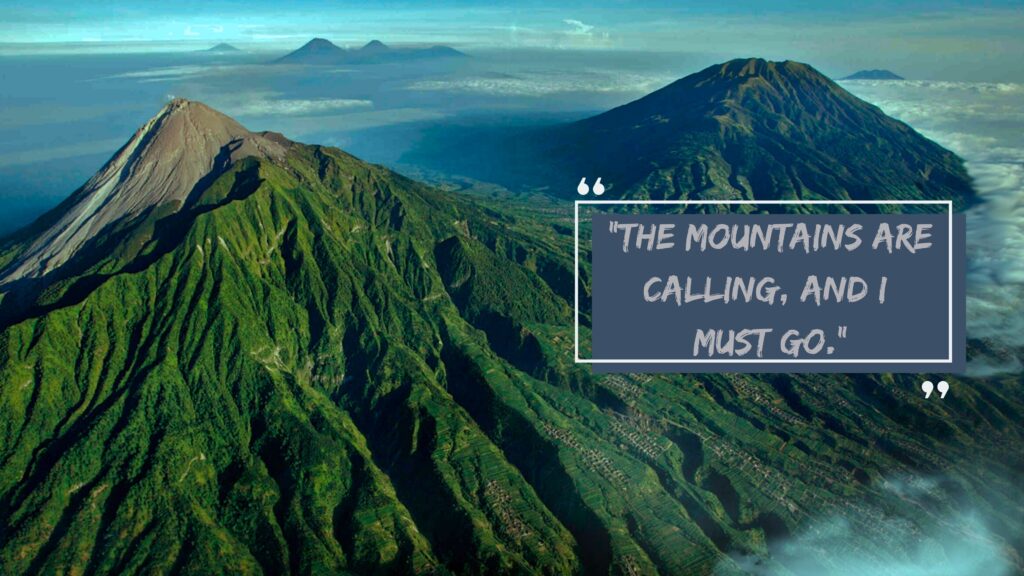 the himalayan above the clouds covered with green grasses