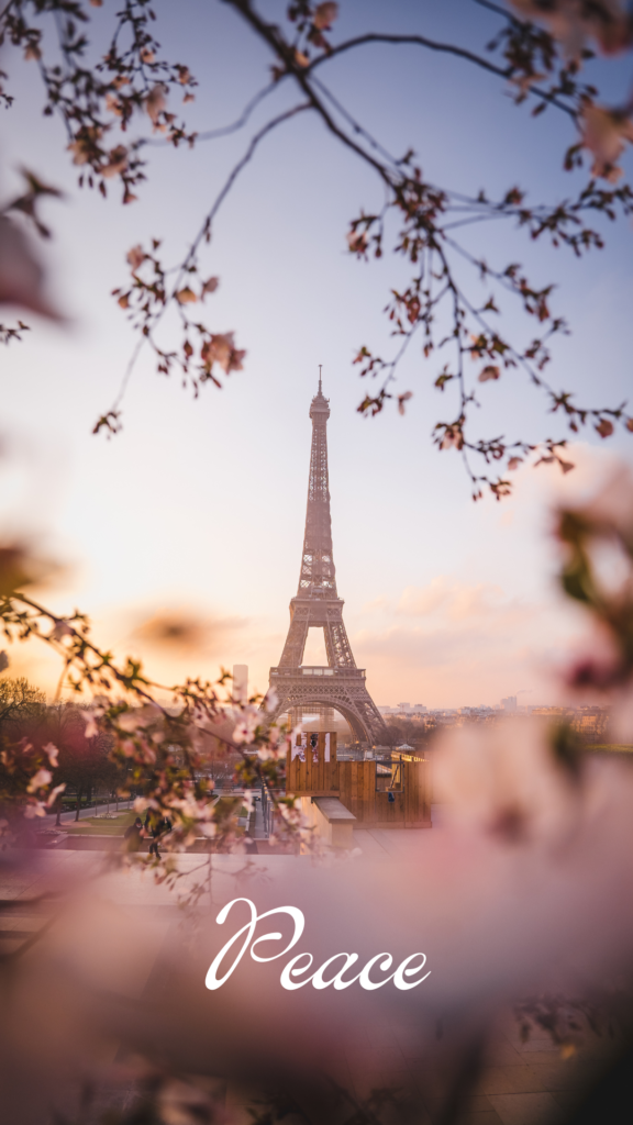 eiffel tower from the height image