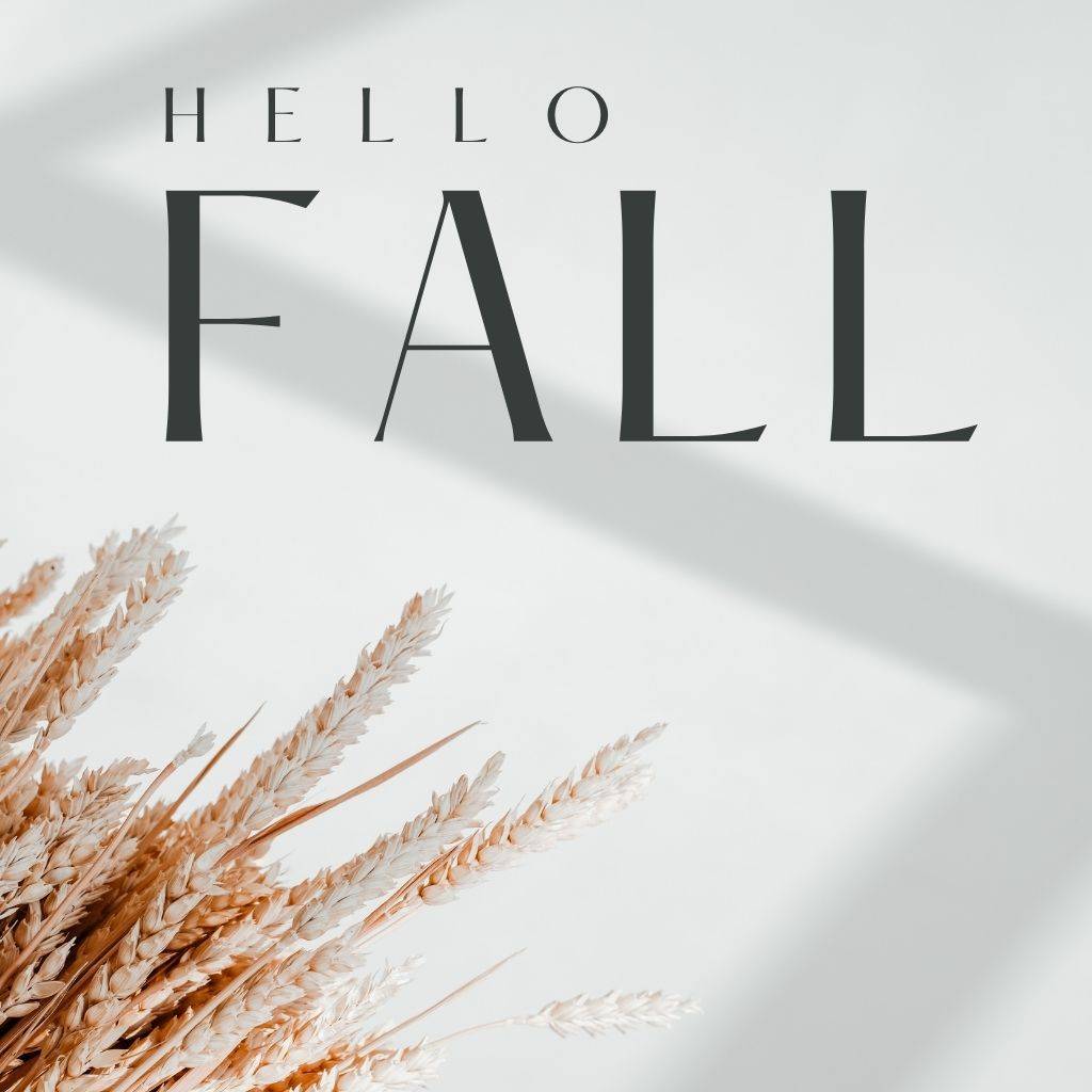 beautiful fall image with wheat plants in the sunshine