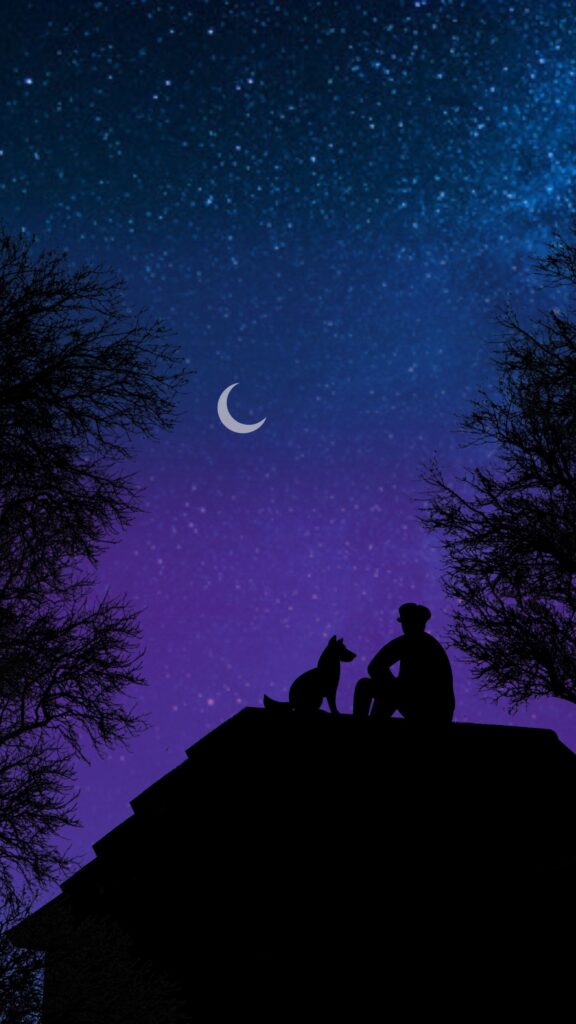 a beautiful night mobile wallpaper with a moon and a dog