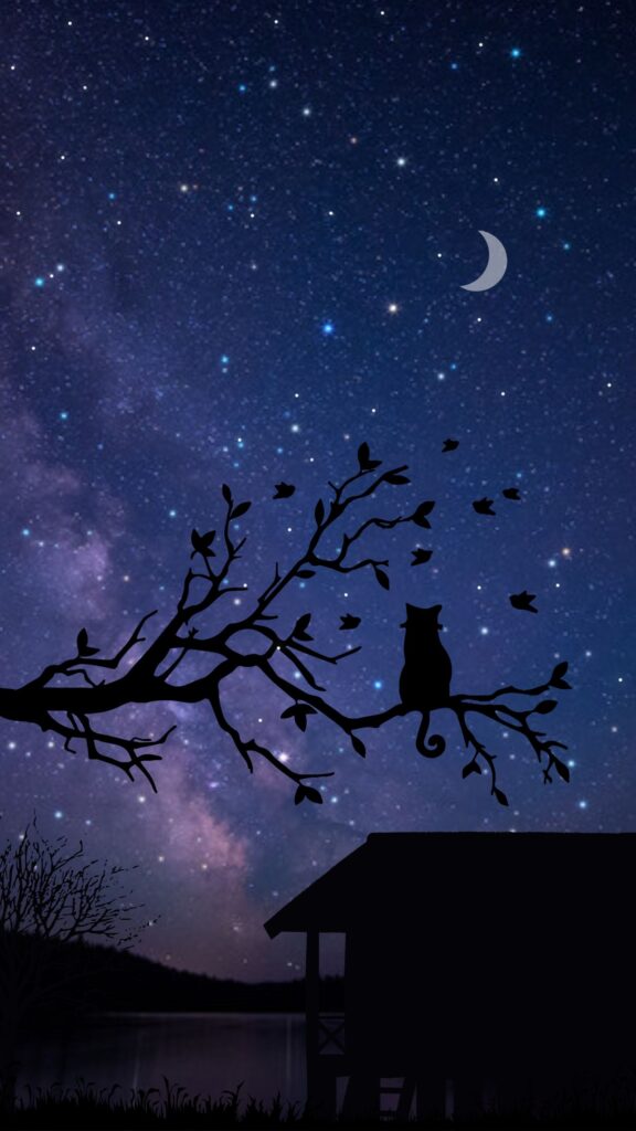 beautiful dark mobile wallpaper in which a cat sitting on a tree watching the moon and the sky