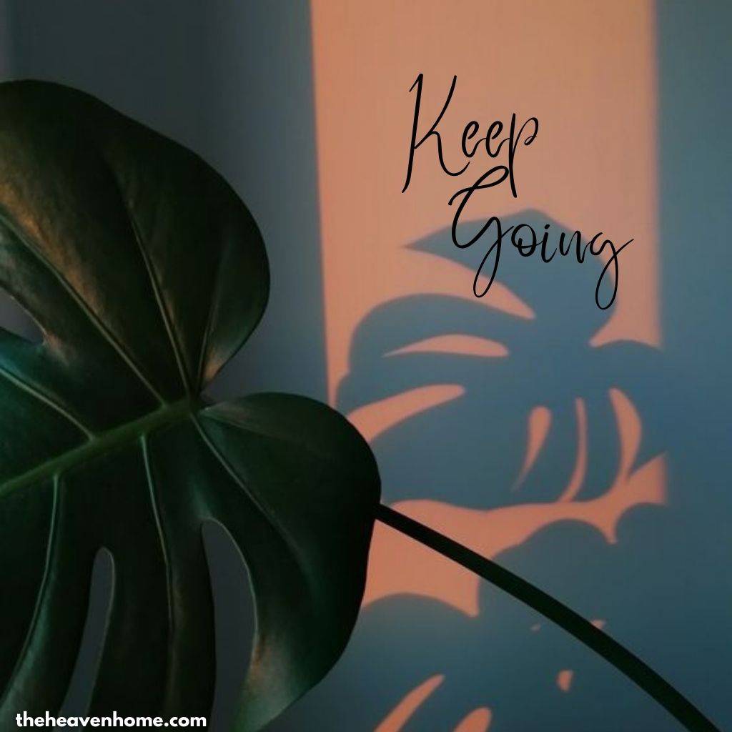 beautiful golden hour plant image with a motivational quote