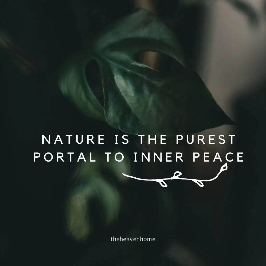 amazing nature quote image