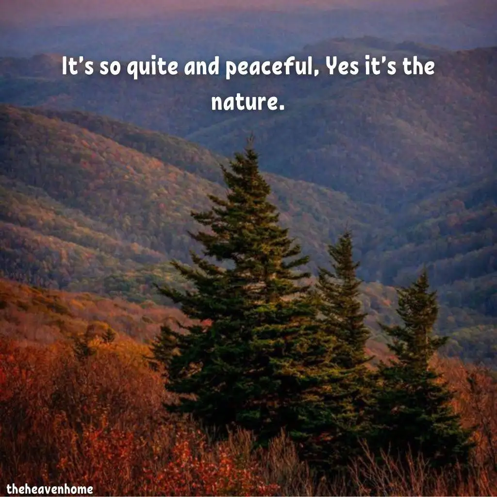 a peaceful mountain image evening with a nature quote