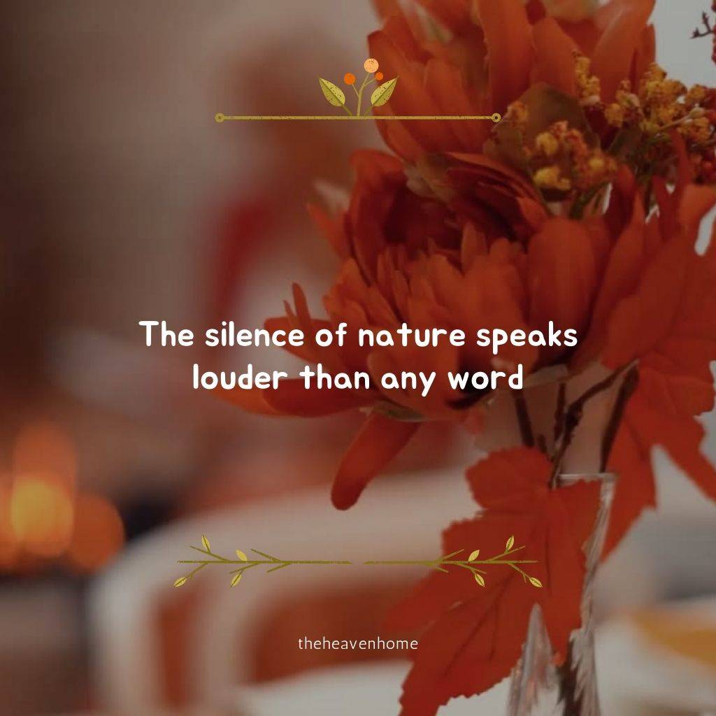 beautiful red flowers image with a nature quote