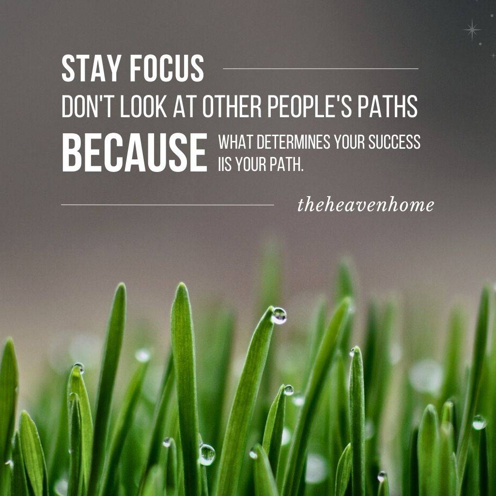 beautiful grass with water drops image and a motivational quote