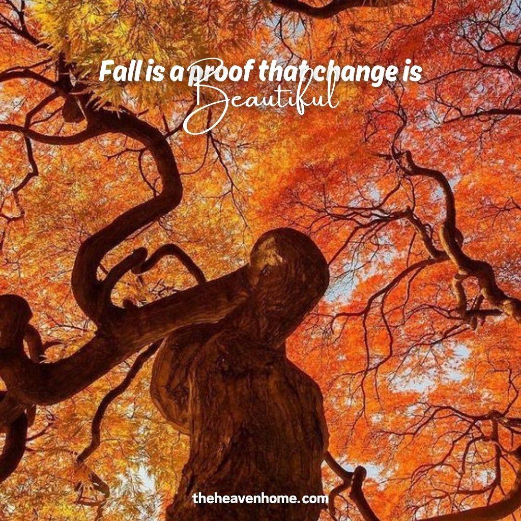 amazing fall tree beautiful image with a fall nature quote