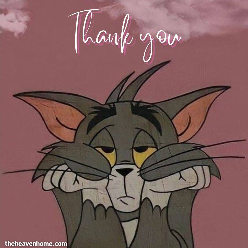 tom sad image with a thank you message