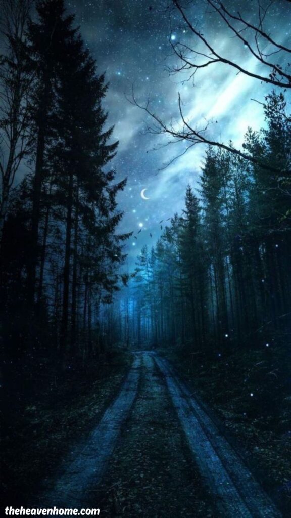 forest in shiny night with beautiful stars wallpaper for mobile