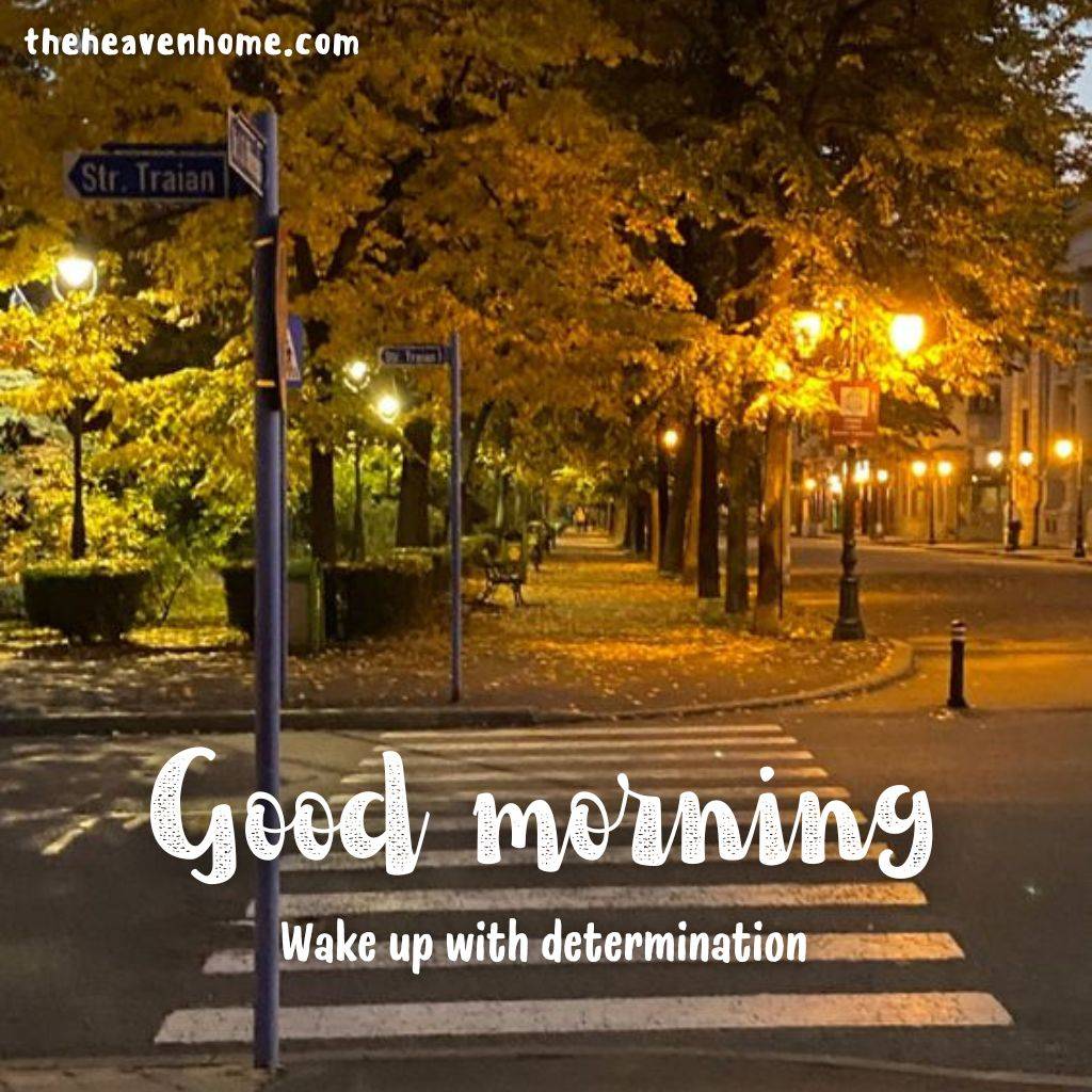 amazing fall morning with beautiful street lights- good morning image