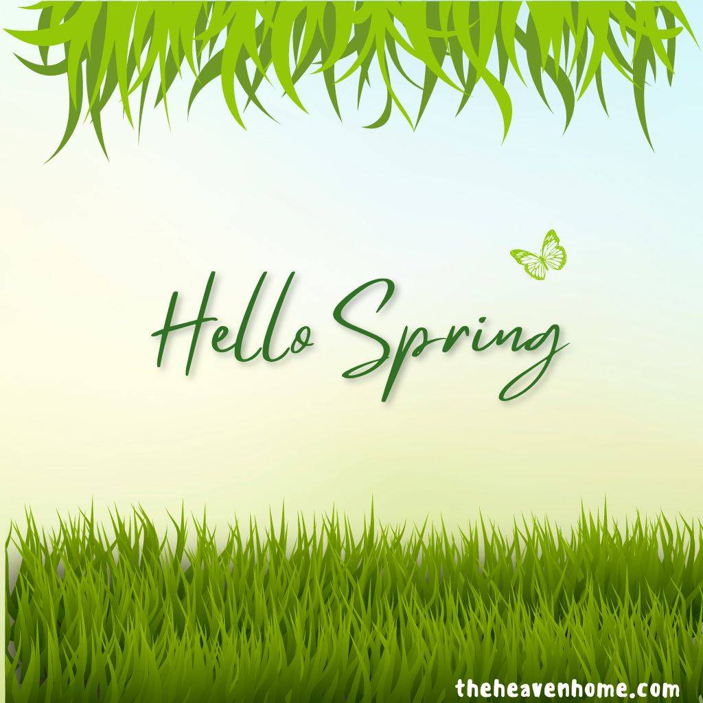 hello spring beautiful image