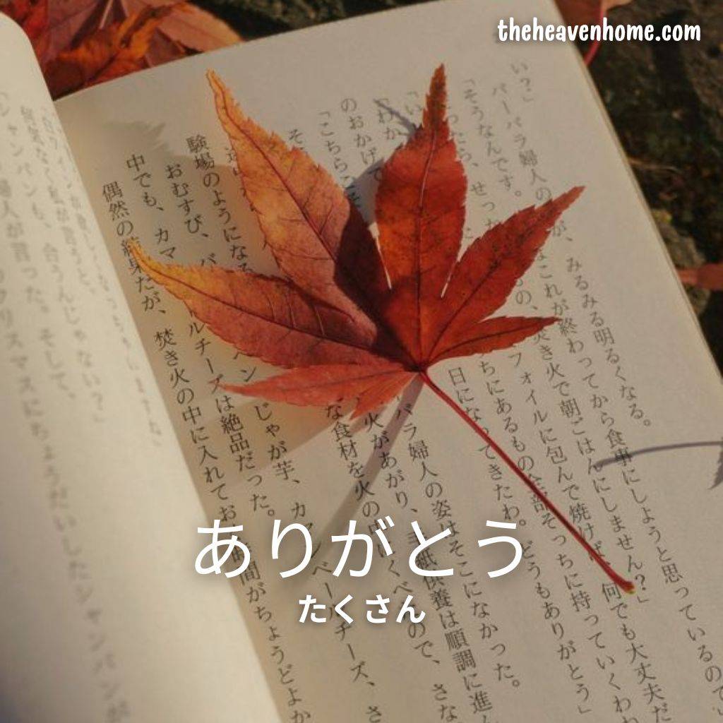 a beautiful japanese thank you image with a fall tree leaf