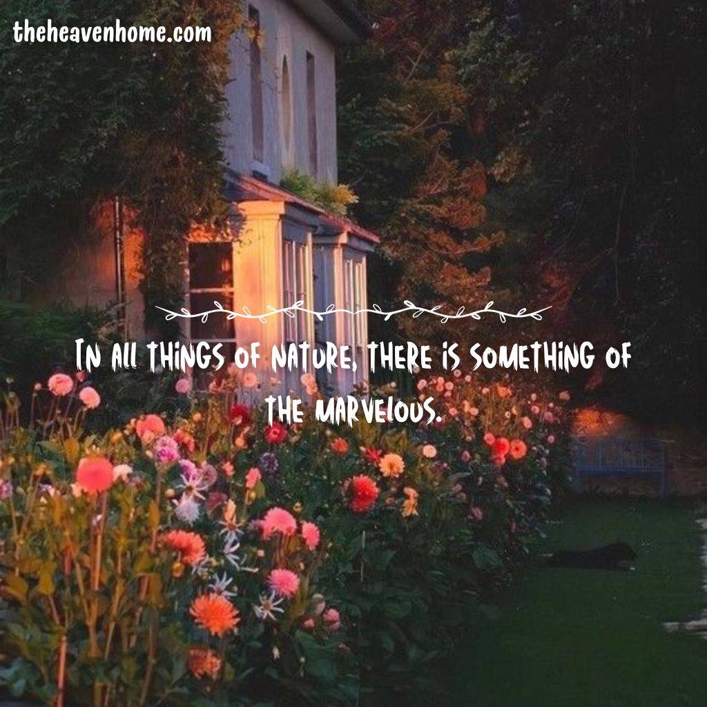 a beautiful house covered with colorful flowers and a nature quote