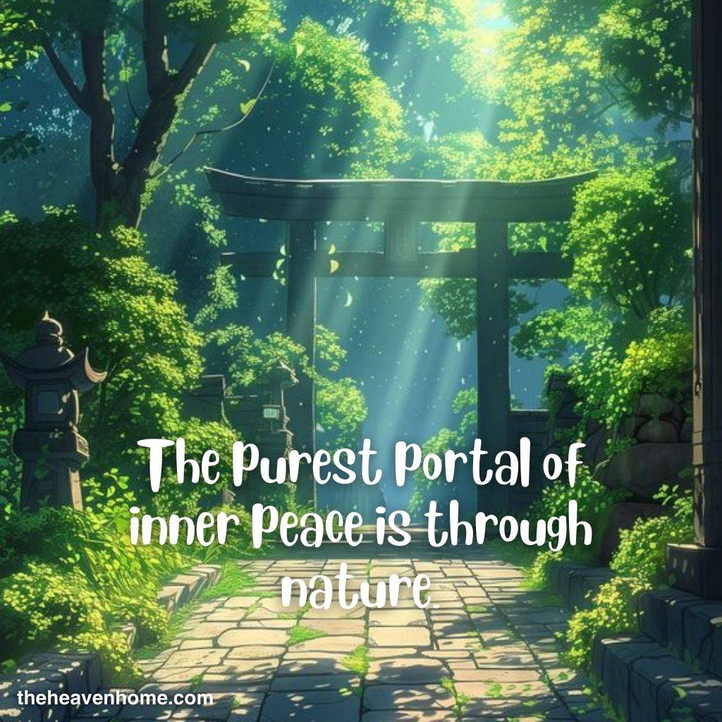 a beautiful nature morning image with a nature peace quote