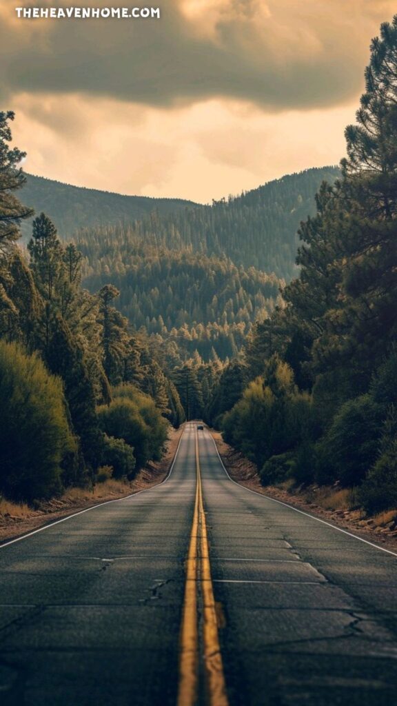 a beautiful highway in the middle of the forest wallpaper image for mobiles hd