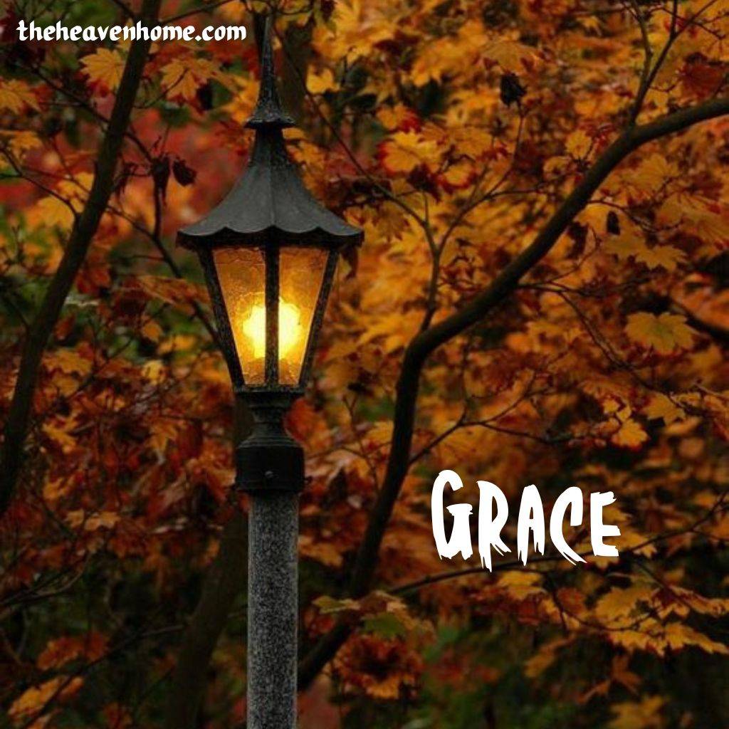 a beautiful park street light image with a english one word quote