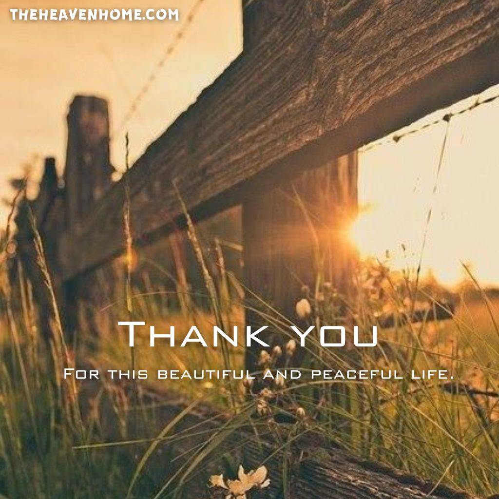 a beautiful farm image during a sunset , and a thank you note