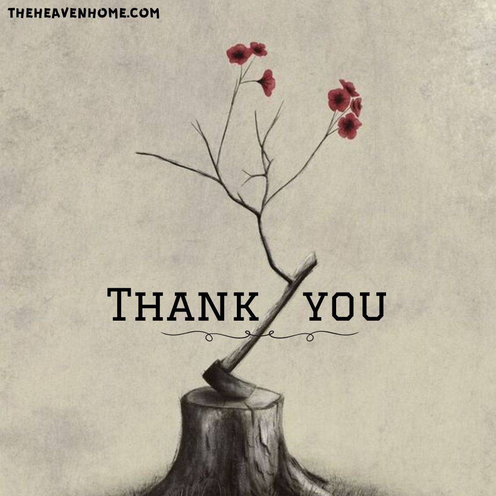 a beautiful flower image with a thank you note