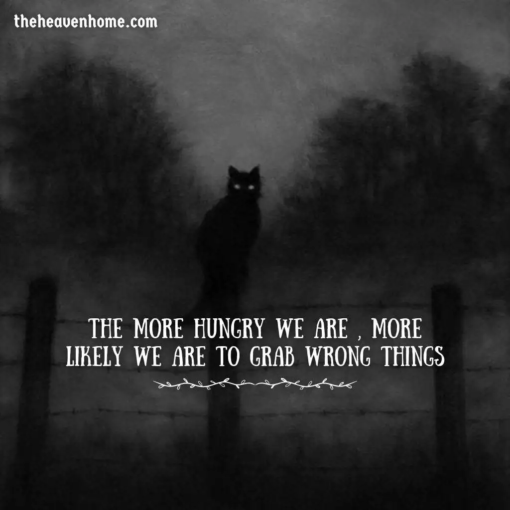 a black cat image in the dark night with a darkness deep quote