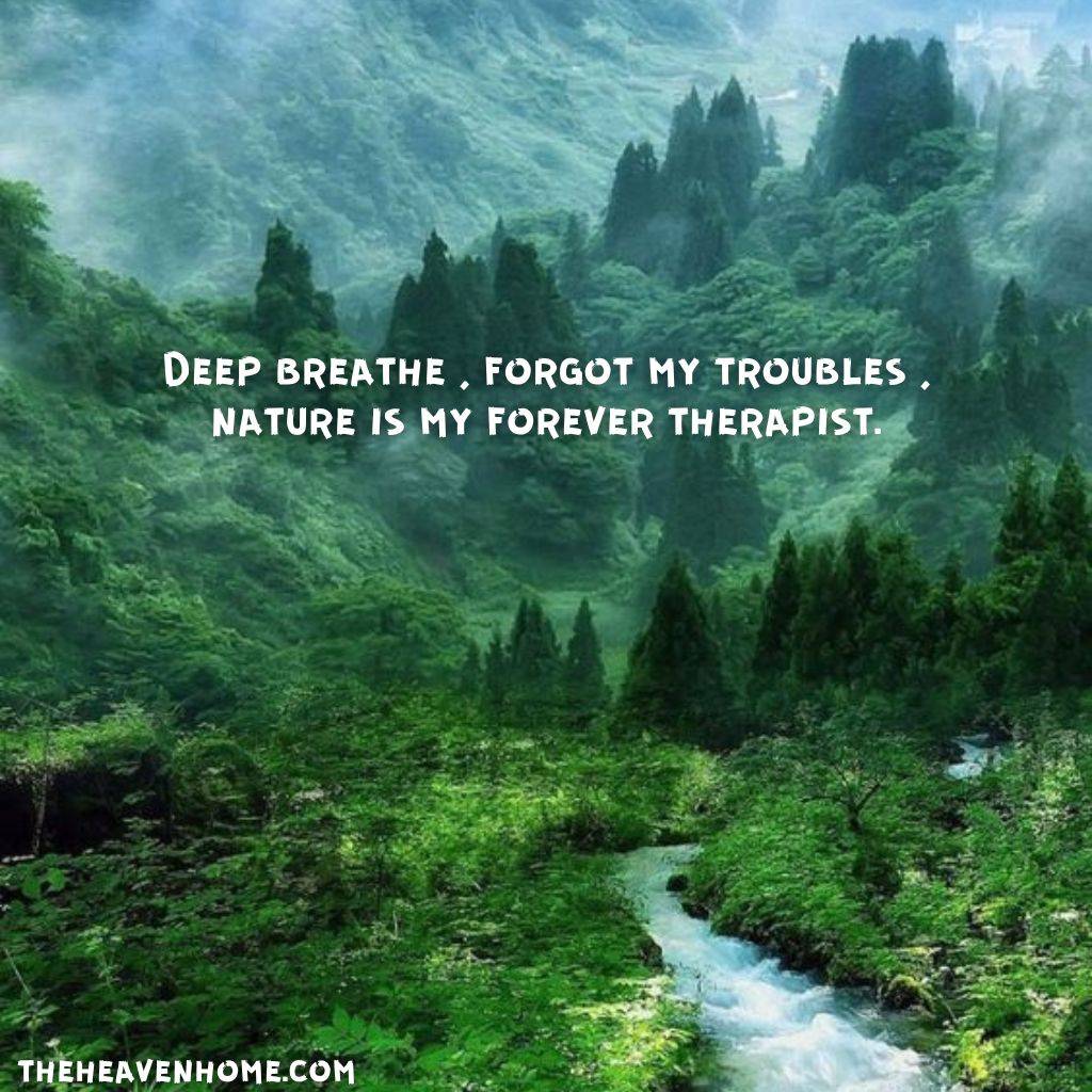 a beautiful dangerous forest image with a nature life quote