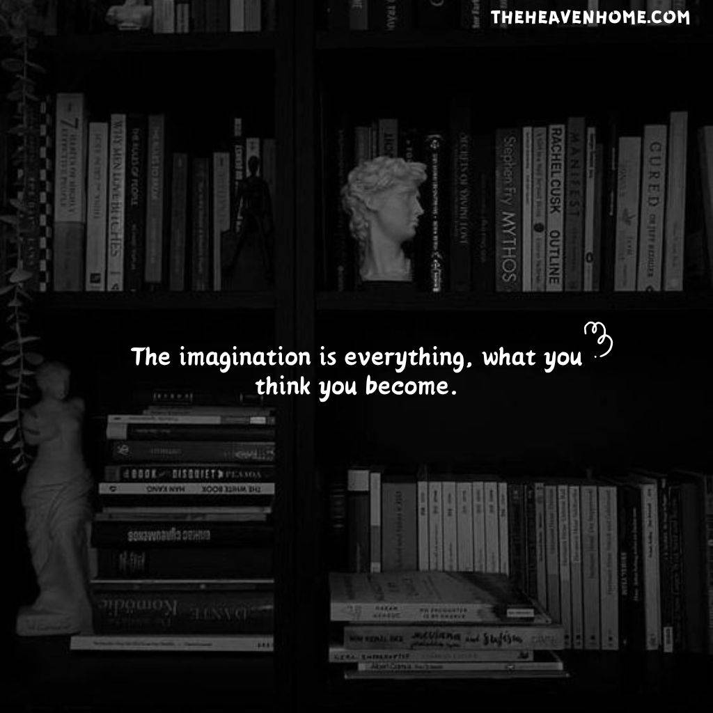 a beautiful books library dark image with a smart quote