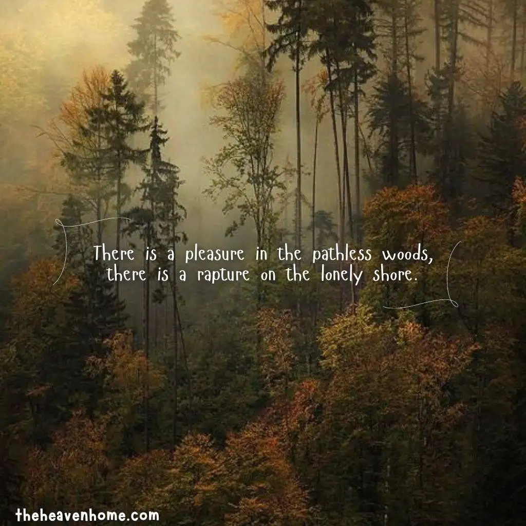 a dark scary but beautiful forest image with a lonely nature quote