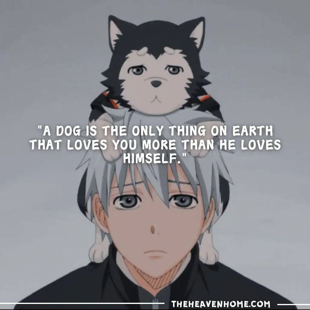 Kuroko and his dog beautiful cute image