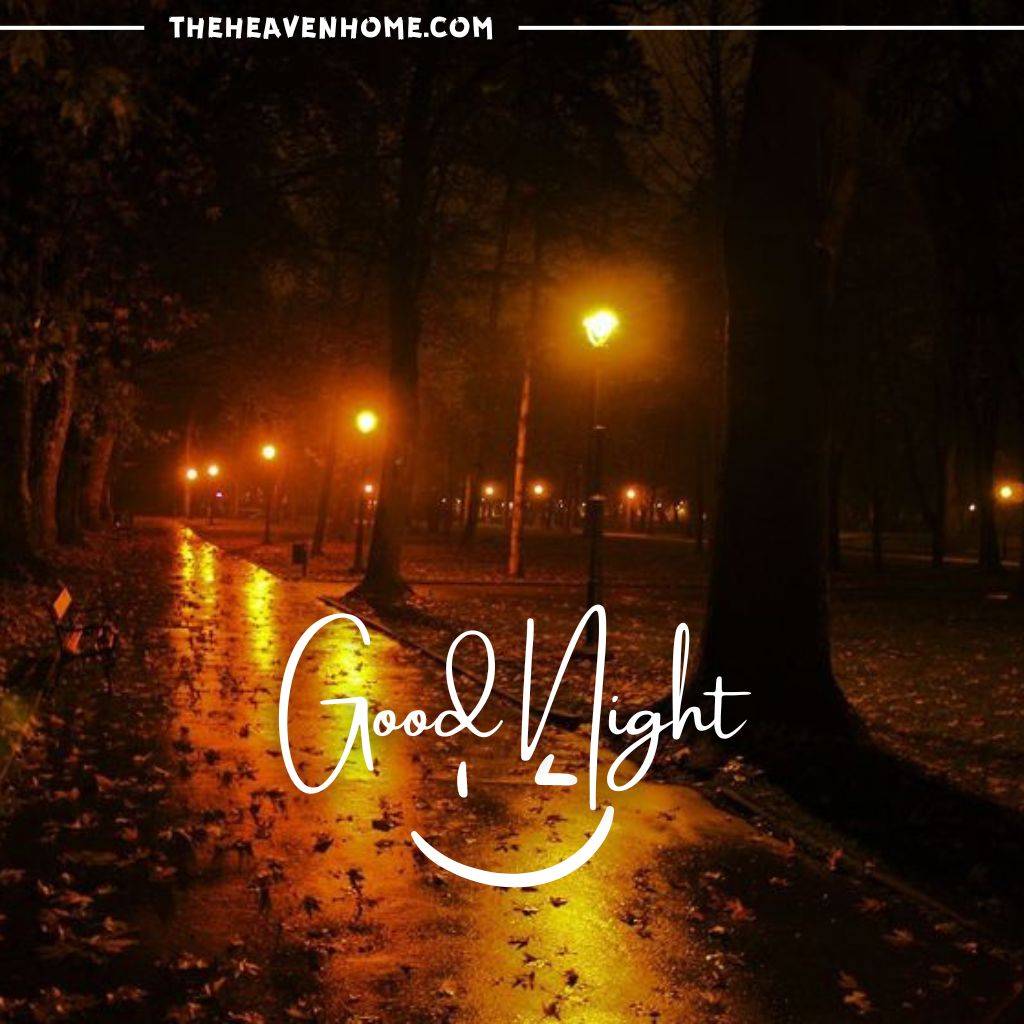 "Serene nighttime park with glowing street lamps and wet path, featuring 'Good Night' text."