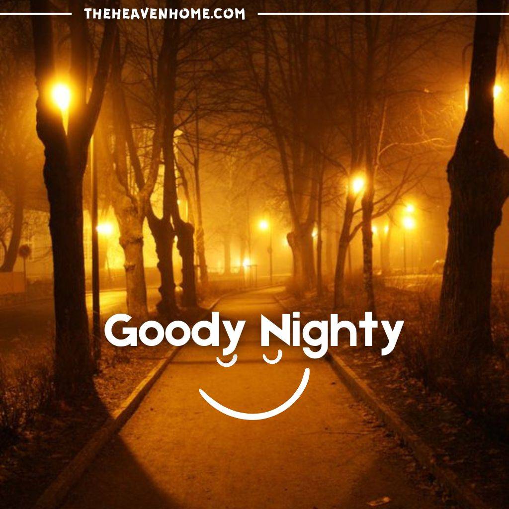 "Quiet foggy park illuminated by street lamps at night, with 'Goody Nighty' text and smiley face."