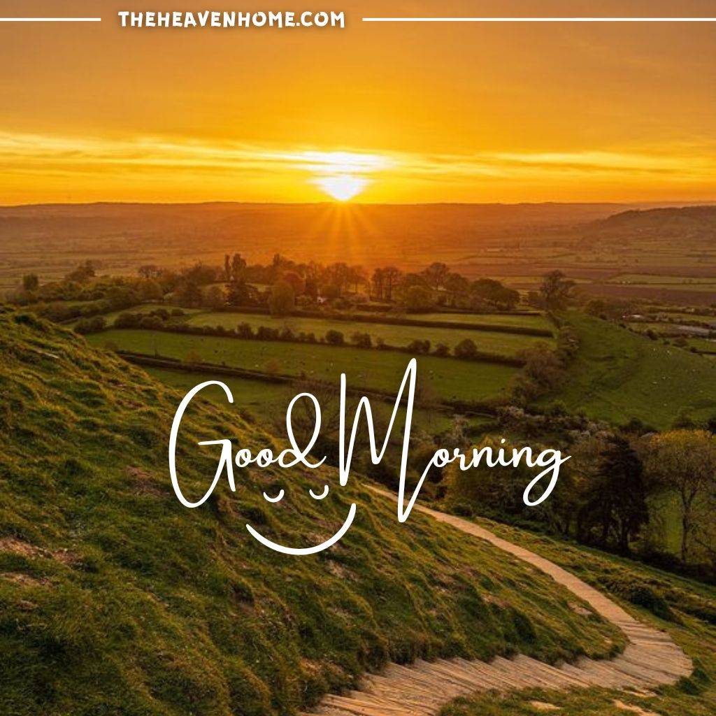 A morning sunrise image from a beautiful green farm field in the hilly area with a good morning text