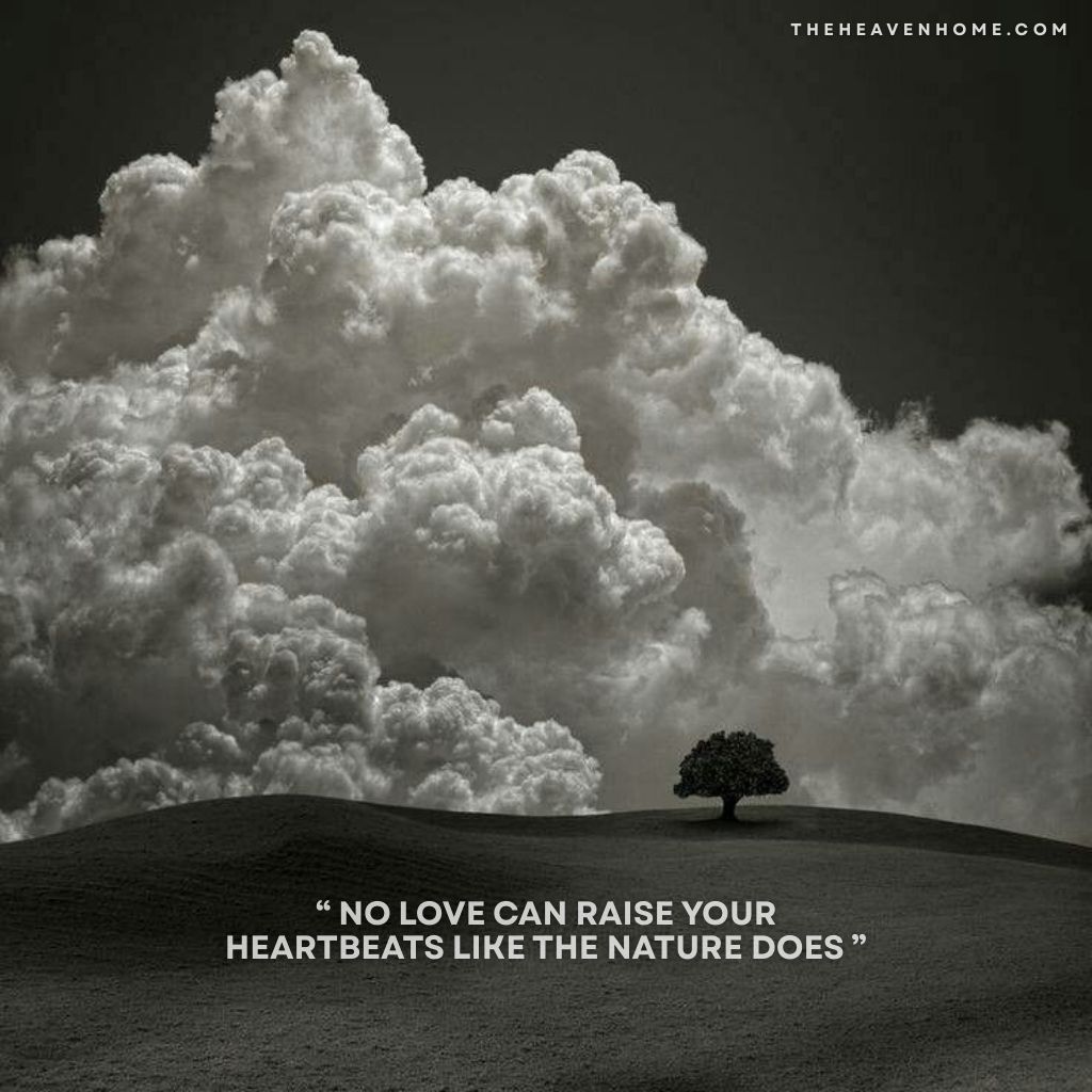 Image of dark dramatic clouds over a lone tree on a hill - a black nature aesthetic image overlayed by a deep nature quote “ No love can raise your heartbeats like the nature does ”