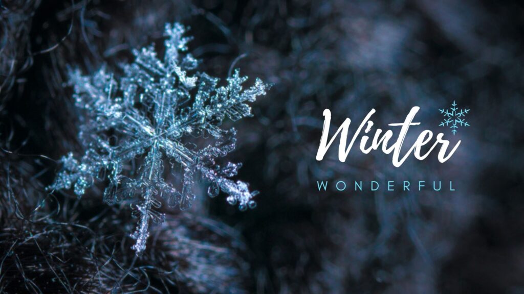 A beautiful Winter season wallpaper